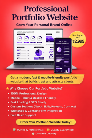 Professional Portfolio Website